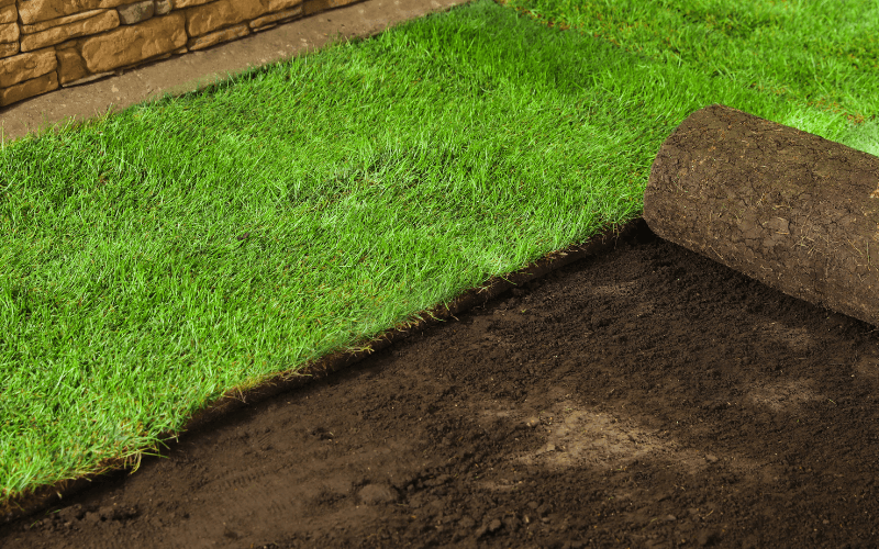 Sod Installation Services in Centerton, AR